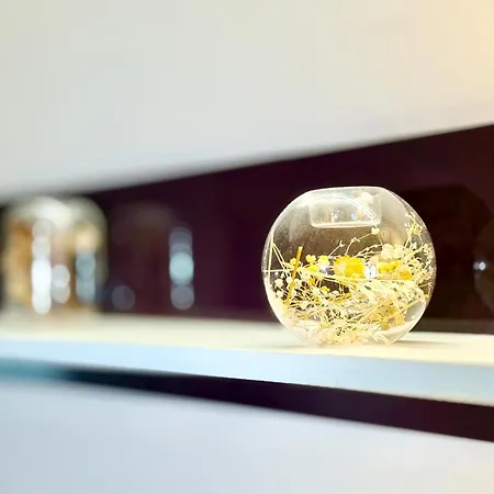 Chayka Chic Apartament