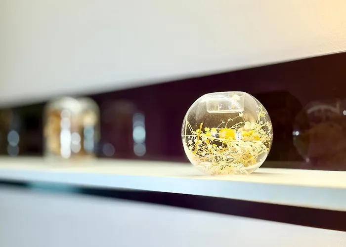 Chayka Chic דירה